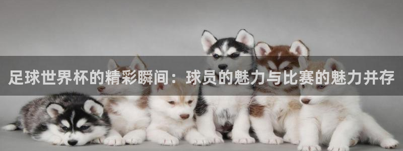 2026世界杯官网入口：足球世界杯的精彩瞬间：球员的魅力与比赛的魅力并存
