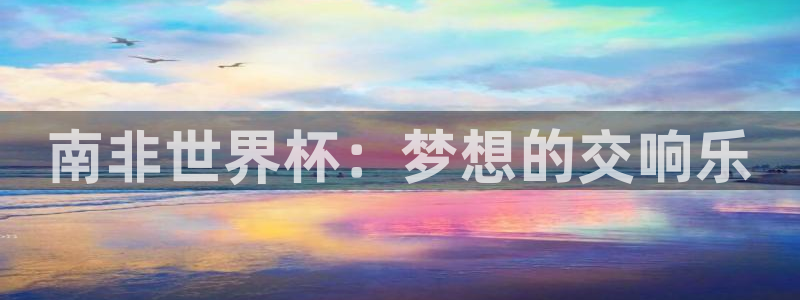 世界杯欧洲区世预赛赛程：南非世界杯：梦想的交响乐