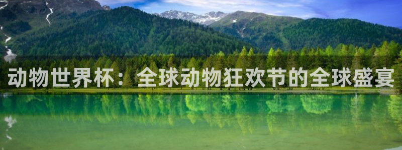 2026世界杯赛程表完整版：动物世界杯：全球动物狂欢节的全球盛宴