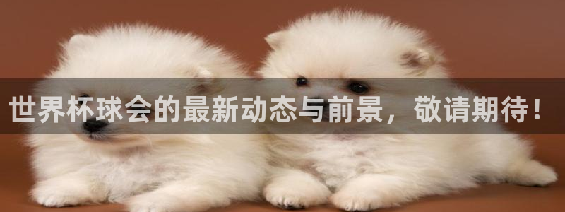 世界杯预选赛赛程：世界杯球会的最新动态与前景，敬请期待！