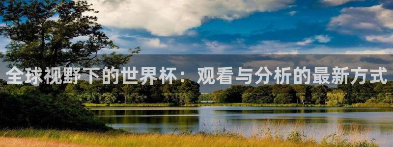 2006年世界杯冠军：全球视野下的世界杯：观看与分析的最新方式