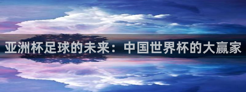 世界杯2026预选赛：亚洲杯足球的未来：中国世界杯的大赢家
