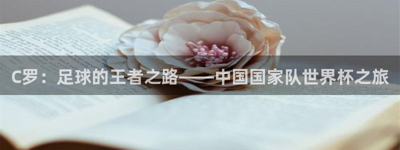 世界杯足球：C罗：足球的王者之路——中国国家队世界杯之旅