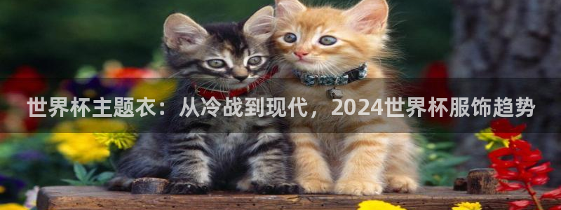 世界杯2026赛程时间表格：世界杯主题衣：从冷战到现代，2024世界杯服饰趋势