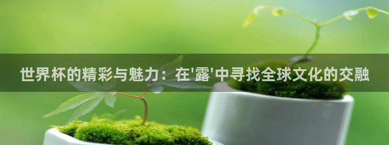 世界杯时间：世界杯的精彩与魅力：在\'露\'中寻找全球文化的交融