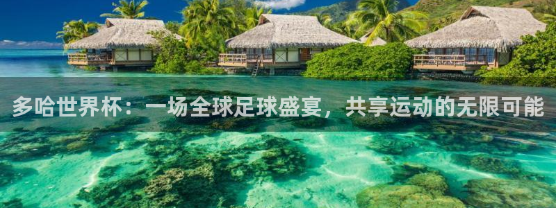 世界杯欧洲区世预赛赛程：多哈世界杯：一场全球足球盛宴，共享运动的无限可能