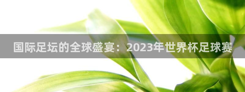 欧洲世预赛赛程表：国际足坛的全球盛宴：2023年世界杯足球赛