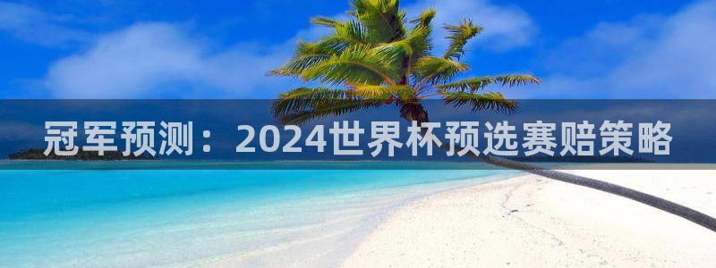 世界杯预选赛欧洲：冠军预测：2024世界杯预选赛赔策略