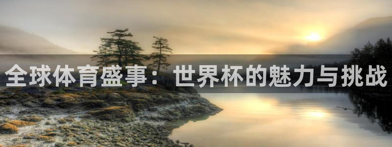 世界杯视频：全球体育盛事：世界杯的魅力与挑战