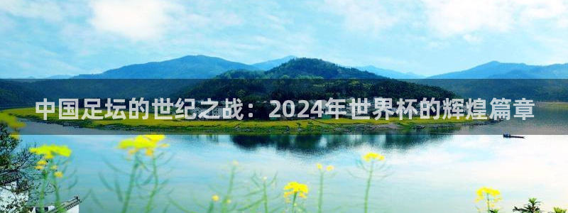 2026世界杯德国队阵容：中国足坛的世纪之战：2024年世界杯的辉煌篇章