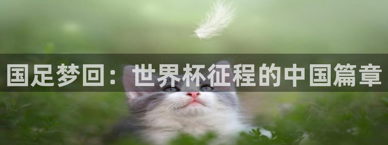 世界杯球队：国足梦回：世界杯征程的中国篇章