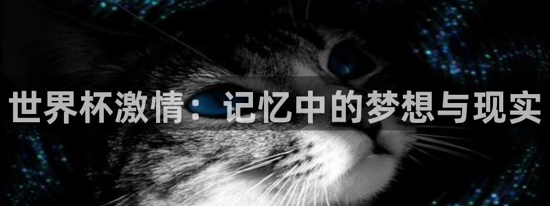 世界杯 直播：世界杯激情：记忆中的梦想与现实
