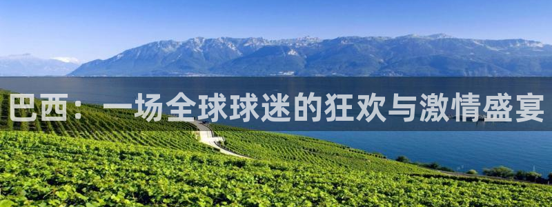 2006年世界杯冠军：巴西：一场全球球迷的狂欢与激情盛宴