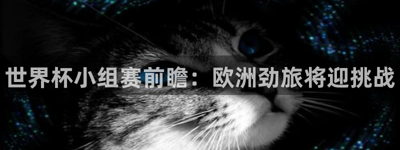 世界杯预选赛赛程表：世界杯小组赛前瞻：欧洲劲旅将迎挑战