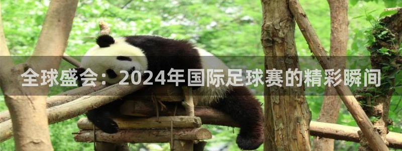 世界杯足球直播：全球盛会：2024年国际足球赛的精彩瞬间