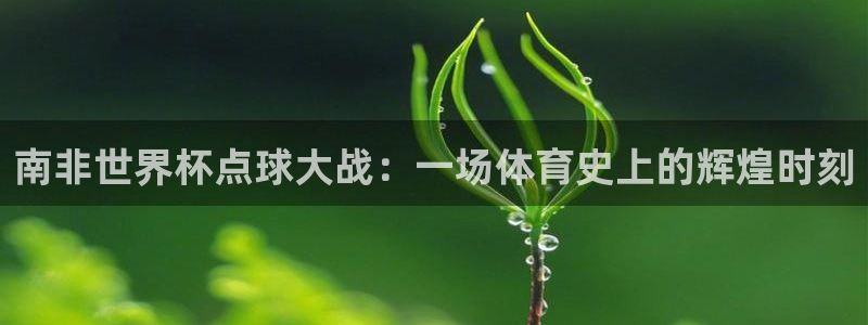 2026足球世界杯：南非世界杯点球大战：一场体育史上的辉煌时刻
